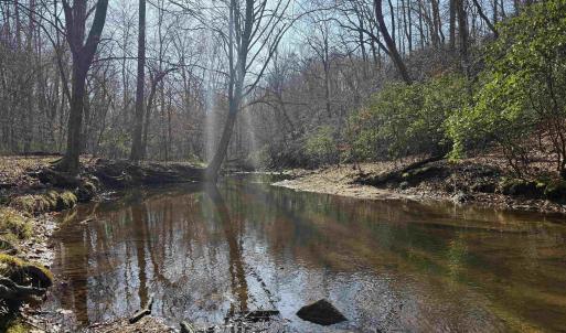 Photo #23 of PAYNES POND RD, SCOTTSVILLE, VA 118.0 acres