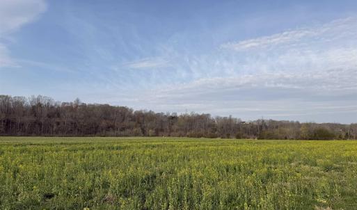 Photo #32 of PAYNES POND RD, SCOTTSVILLE, VA 118.0 acres