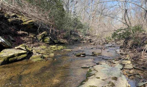 Photo #2 of PAYNES POND RD, SCOTTSVILLE, VA 118.0 acres