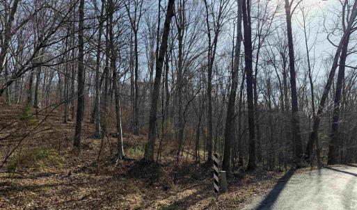 Photo #29 of PAYNES POND RD, SCOTTSVILLE, VA 118.0 acres