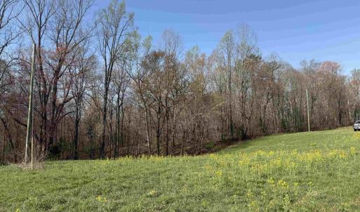 Photo #14 of PAYNES POND RD, SCOTTSVILLE, VA 118.0 acres