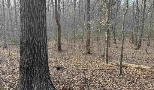 Photo #53 of PAYNES POND RD, SCOTTSVILLE, VA 118.0 acres