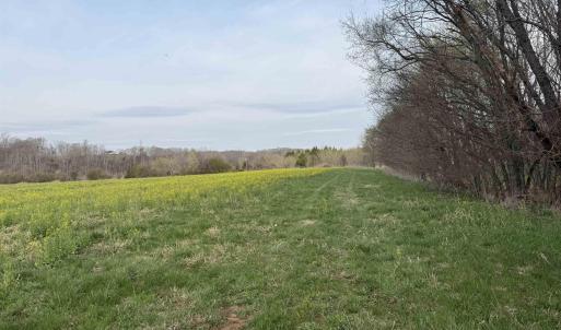 Photo #43 of PAYNES POND RD, SCOTTSVILLE, VA 118.0 acres