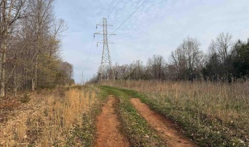 Photo #49 of PAYNES POND RD, SCOTTSVILLE, VA 118.0 acres