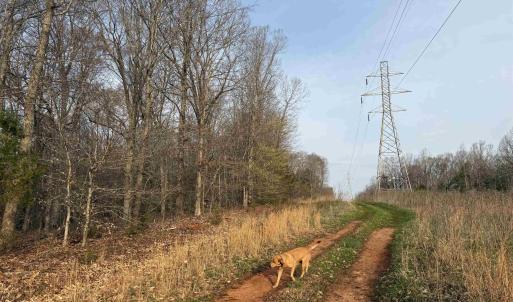 Photo #54 of PAYNES POND RD, SCOTTSVILLE, VA 118.0 acres