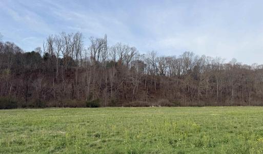 Photo #45 of PAYNES POND RD, SCOTTSVILLE, VA 118.0 acres