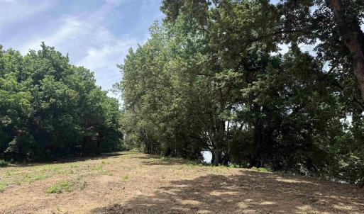Photo #73 of PAYNES POND RD, SCOTTSVILLE, VA 118.0 acres