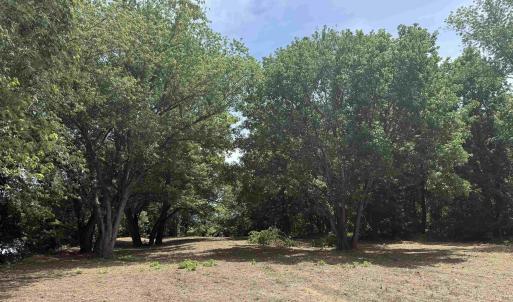 Photo #70 of PAYNES POND RD, SCOTTSVILLE, VA 118.0 acres
