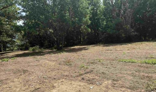 Photo #72 of PAYNES POND RD, SCOTTSVILLE, VA 118.0 acres