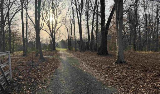 Photo #62 of PAYNES POND RD, SCOTTSVILLE, VA 118.0 acres