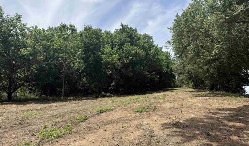 Photo #8 of PAYNES POND RD, SCOTTSVILLE, VA 118.0 acres