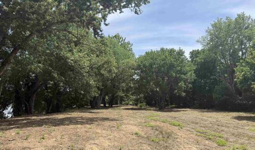 Photo #69 of PAYNES POND RD, SCOTTSVILLE, VA 118.0 acres