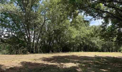 Photo #67 of PAYNES POND RD, SCOTTSVILLE, VA 118.0 acres