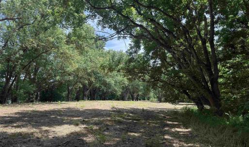 Photo #66 of PAYNES POND RD, SCOTTSVILLE, VA 118.0 acres