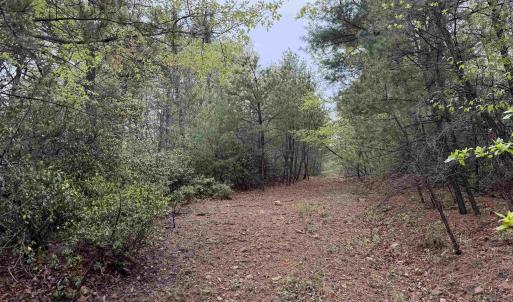 Photo #29 of BLACK ROCK LN, INDEPENDENCE, VA 82.0 acres
