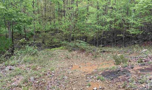Photo #6 of BLACK ROCK LN, INDEPENDENCE, VA 82.0 acres