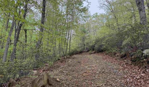 Photo #3 of BLACK ROCK LN, INDEPENDENCE, VA 82.0 acres