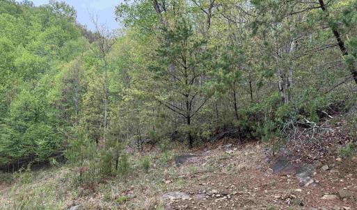 Photo #11 of BLACK ROCK LN, INDEPENDENCE, VA 82.0 acres