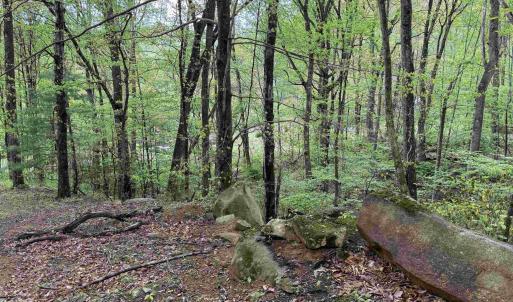 Photo #2 of BLACK ROCK LN, INDEPENDENCE, VA 82.0 acres