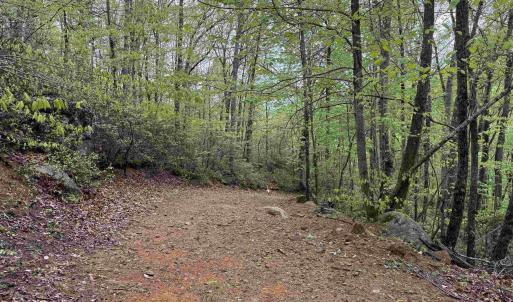 Photo #4 of BLACK ROCK LN, INDEPENDENCE, VA 82.0 acres
