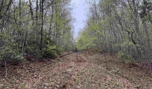 Photo #22 of BLACK ROCK LN, INDEPENDENCE, VA 82.0 acres