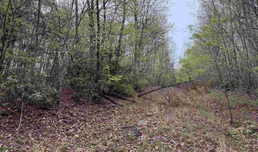 Photo #25 of BLACK ROCK LN, INDEPENDENCE, VA 82.0 acres