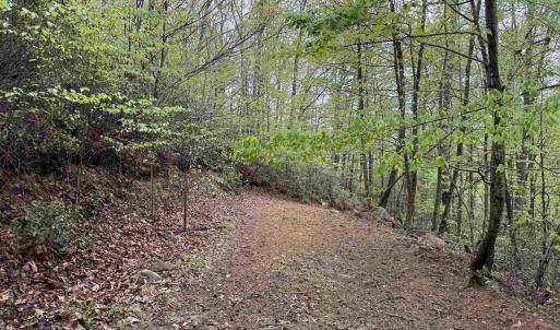 Photo #5 of BLACK ROCK LN, INDEPENDENCE, VA 82.0 acres