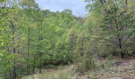 Photo #12 of BLACK ROCK LN, INDEPENDENCE, VA 82.0 acres