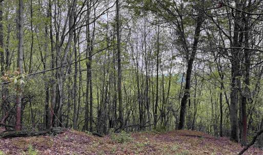 Photo #27 of BLACK ROCK LN, INDEPENDENCE, VA 82.0 acres