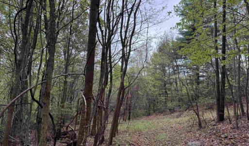 Photo #24 of BLACK ROCK LN, INDEPENDENCE, VA 82.0 acres