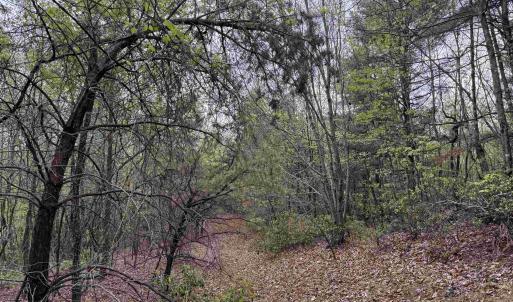 Photo #26 of BLACK ROCK LN, INDEPENDENCE, VA 82.0 acres