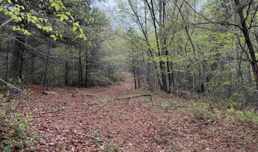Photo #33 of BLACK ROCK LN, INDEPENDENCE, VA 82.0 acres
