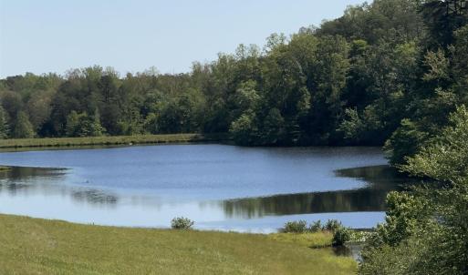 Photo #1 of 317 LAKE VIEW LN, PALMYRA, VA 1,156.6 acres