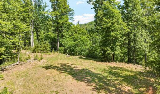 Photo #18 of TBD POORHOUSE RD, CHARLOTTESVILLE, VA 84.8 acres
