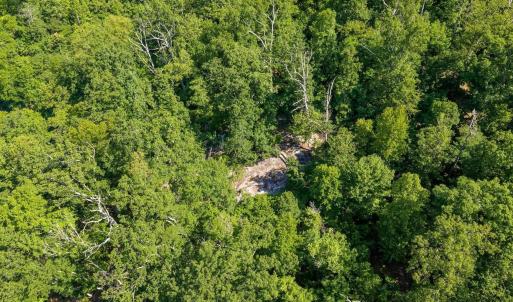 Photo #23 of TBD POORHOUSE RD, CHARLOTTESVILLE, VA 84.8 acres