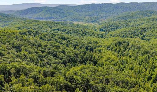 Photo #11 of TBD POORHOUSE RD, CHARLOTTESVILLE, VA 84.8 acres