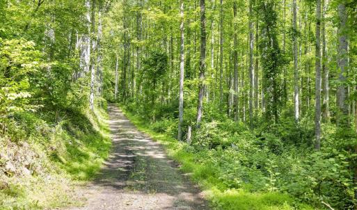 Photo #3 of TBD POORHOUSE RD, CHARLOTTESVILLE, VA 84.8 acres