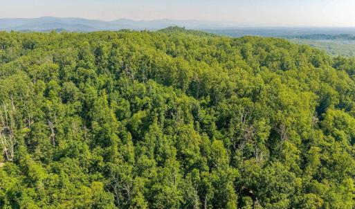 Photo #22 of TBD POORHOUSE RD, CHARLOTTESVILLE, VA 84.8 acres
