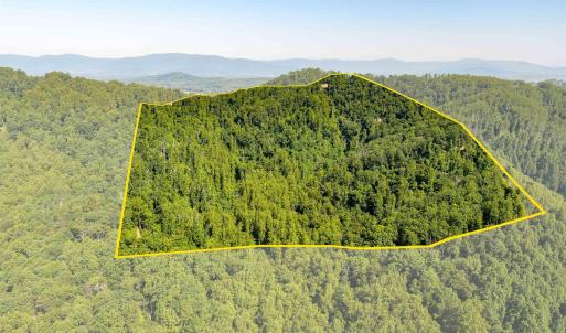 easement w/appr 6 acres carved out for building and driveway maintenance.