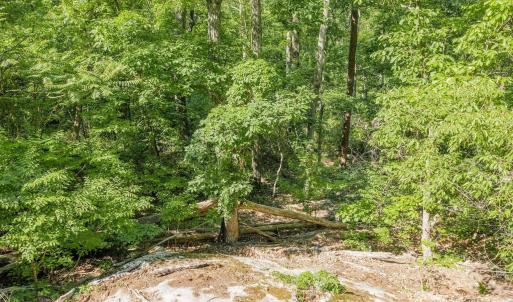 Photo #25 of TBD POORHOUSE RD, CHARLOTTESVILLE, VA 84.8 acres