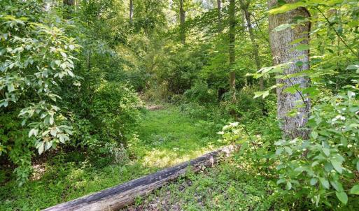 mountain biking and ATV trails.