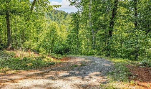Photo #17 of TBD POORHOUSE RD, CHARLOTTESVILLE, VA 84.8 acres