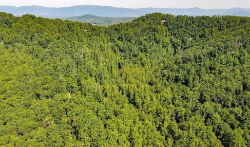 of over 1,200+ acres of land protected by conservation easement or as part of the Ragged Mountain Reservoir.