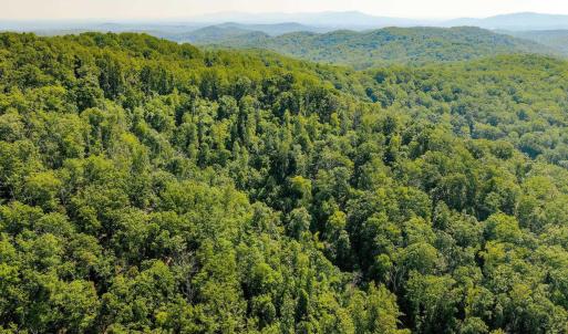 Photo #21 of TBD POORHOUSE RD, CHARLOTTESVILLE, VA 84.8 acres
