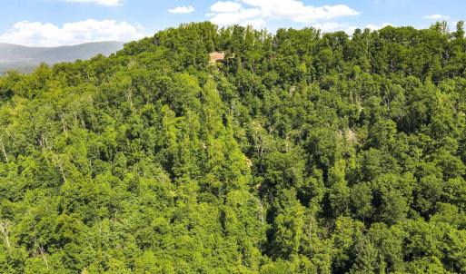 Photo #20 of TBD POORHOUSE RD, CHARLOTTESVILLE, VA 84.8 acres