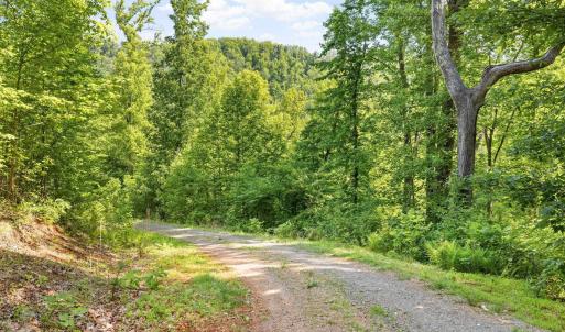 Photo #16 of TBD POORHOUSE RD, CHARLOTTESVILLE, VA 84.8 acres