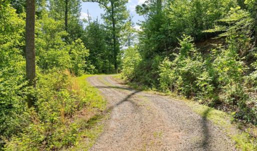 Photo #15 of TBD POORHOUSE RD, CHARLOTTESVILLE, VA 84.8 acres