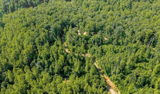 Photo #13 of TBD POORHOUSE RD, CHARLOTTESVILLE, VA 84.8 acres
