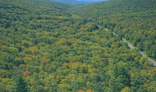 Photo #3 of LOT 168 FOREST RIDGE TRL, FORT VALLEY, VA 0.7 acres