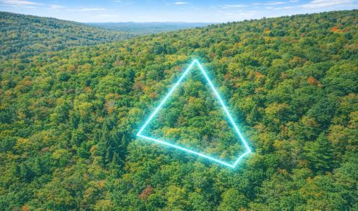 Photo #1 of LOT 168 FOREST RIDGE TRL, FORT VALLEY, VA 0.7 acres